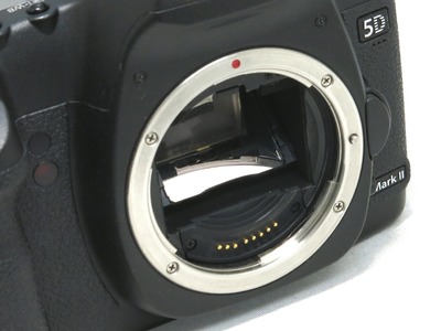 canon_eos_5d_markii_d