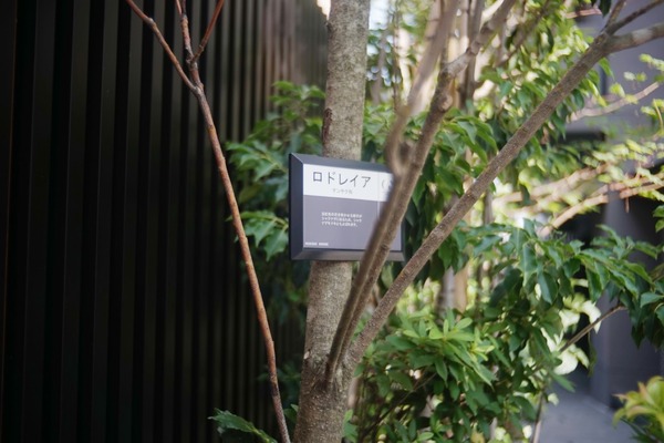 angenieux_35mm_type_r1_m42_sony_a7