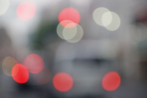 tamron_sp_90mm_macro_52b_08