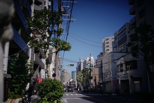 canon_flp_38mm_sony_a7_2