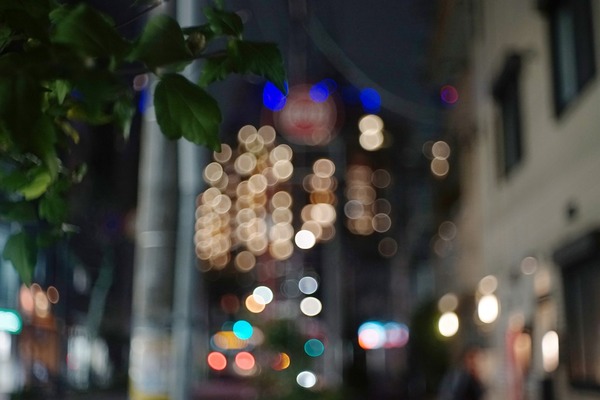 meyer_domiplan_50mm_m42_sony_a7_0