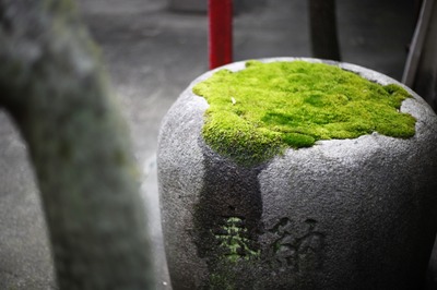 leica_summilux-r_50mm-canon_eos-5d