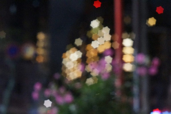 industar-61lz_mc_50mm_m42_sony_a7_02