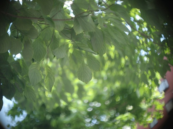 schneider_xenon_25mm_cine_olympus_pen_e-p1