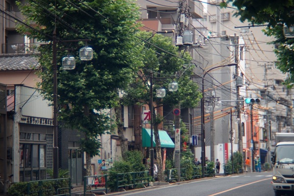 zenit_ir_100mm_m42_sony_a7_01