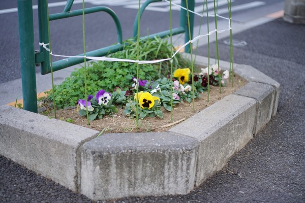 carl_zeiss_planar_50mm_contarex_sony_a7r_ii