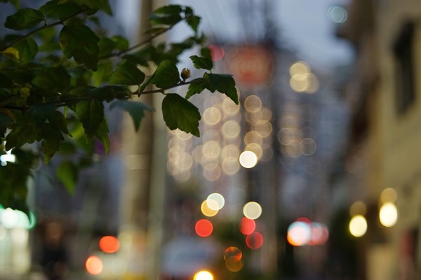 fujifilm_fujinon_55mm_m42_sony_a7_0