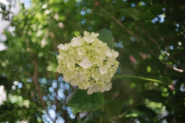 tamron_24mm_bbar_mc_01b_sony_a7