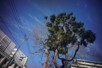 carl_zeiss_biogon_21mm-sony_a7_c