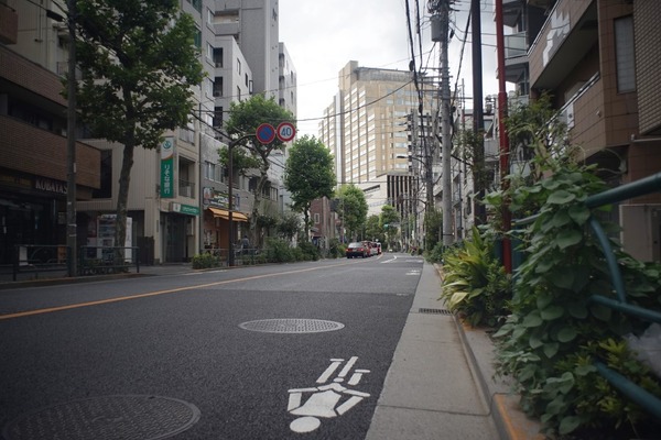 olympus_pen-ft_g_zuiko_20mm_sony_a7_b