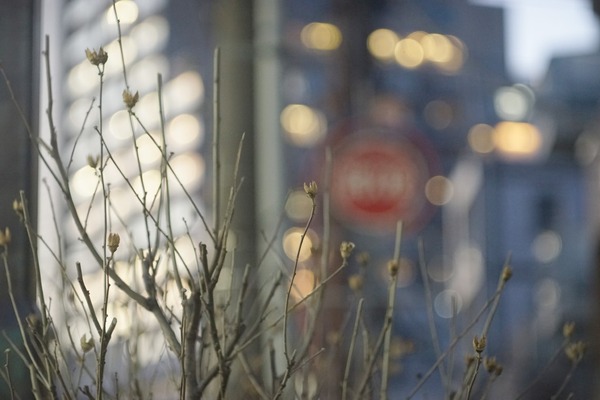 minolta_rokkor-tc_135mm_sony-a7