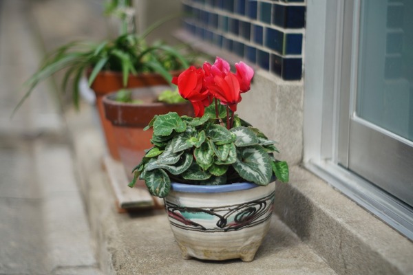 sankyo_koki_komura_80mm_nikon-s_sony_a7r_ii