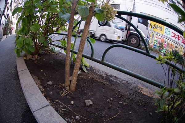 pentax_smc-f_17-28mm_fish-eye_sony_a7_0