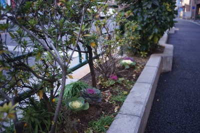 schneider_retina-curtagon_35mm-sony_a7