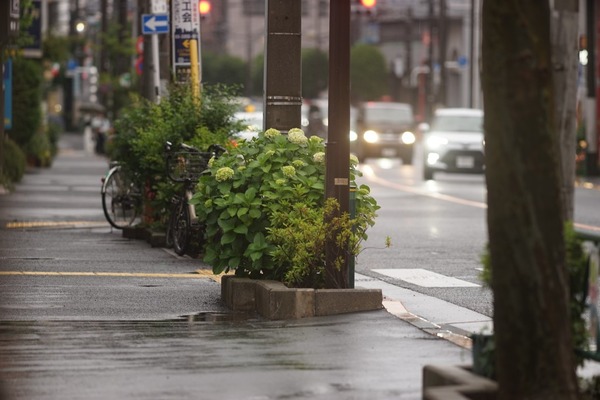 pentax_smc-fa_645_300mm_ed_sony_a7