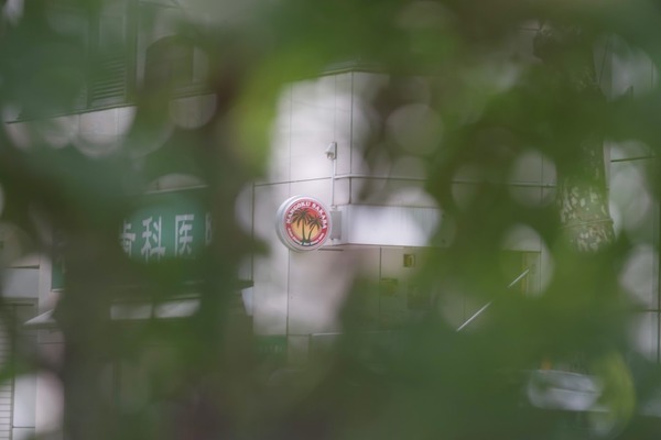 hasselblad_cf_250mm_sony_a7_b