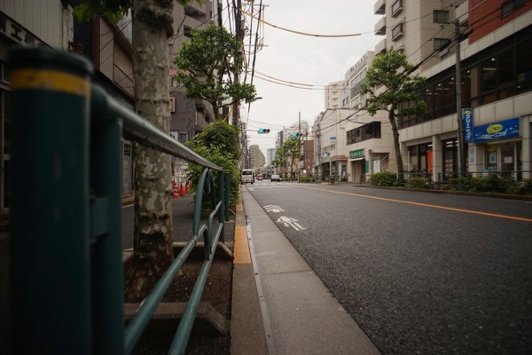 carl_zeiss_jena_flektogon_20mm_exakta_sony_a7