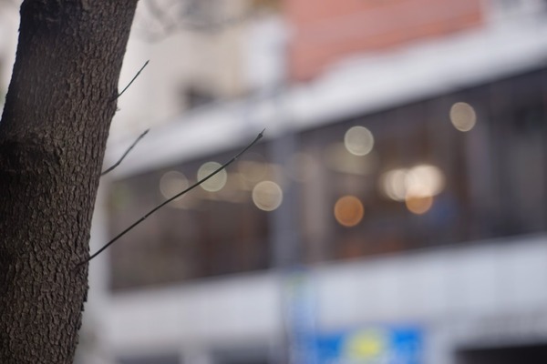 kodak_ektar_90mm_ektra_sony_a7_1