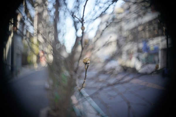 bausch_lomb_baltae_30mm_sony_e_a7r_ii_a