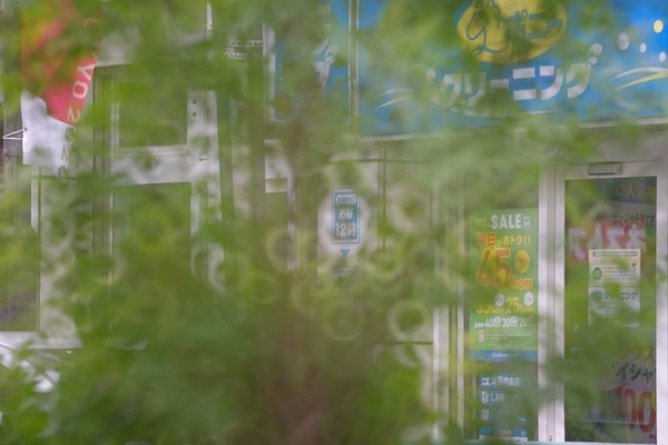 minolta_rf_rokkor_250mm_sony_a7