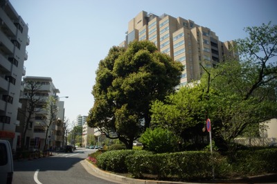 jaca_panagor_pmc_28mm-sony_a7