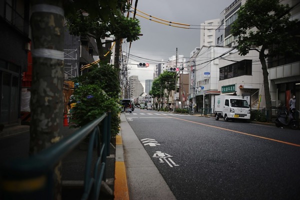 vivitar_wide-angle_35mm_exakta_sony_a7