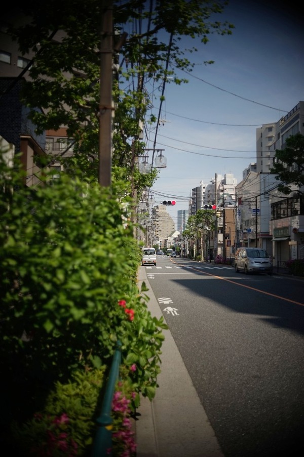 bausch_lomb_super_baltar_35mm_l39_sony_a7_a