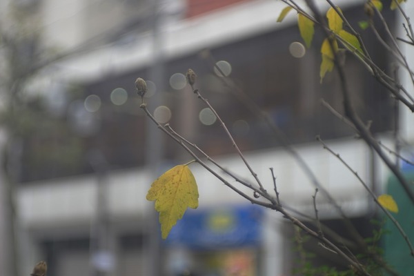 schneider_radionar_75mm_lm_sony_a7_b