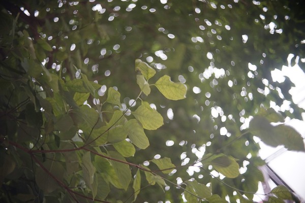 schneider_xenon_40mm_robot_sony_a7