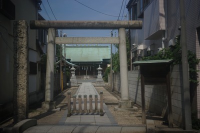 leica_summar_50mm-sony_a7