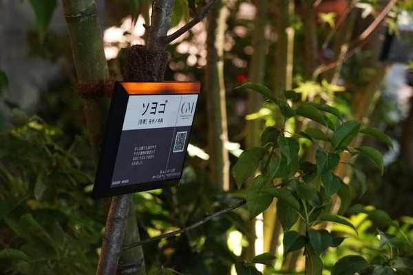 minolta_m-rokkor_90mm_cle_sony_a7