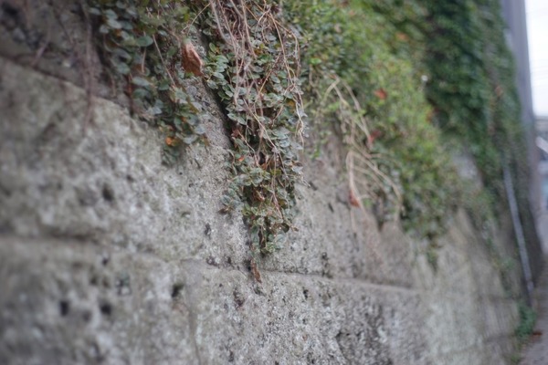 minolta_mc_rokkor-pf_58mm_sony_a7_05