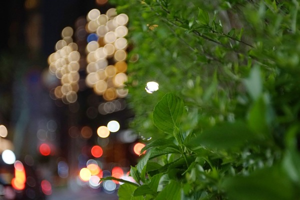 triplet_78mm_m42_sony_a7