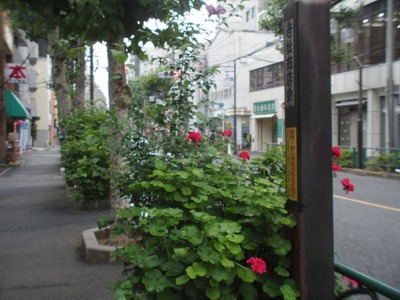 angenieux_cine_8-64mm_type_8x8b_8mm_pentax_q10