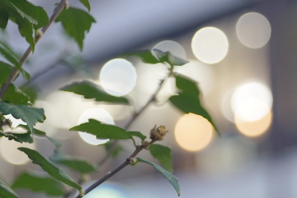 sankyo_kohki_komura_105mm_l39_sony_a7