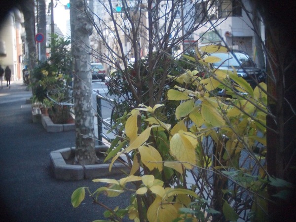 som_berthiot_pan-cinor_175-70mm_cine_olympus_pen_e-p1_a