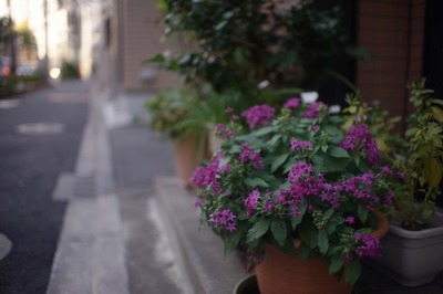 auto_universa_pc_hi-d_35mm-sony_a7