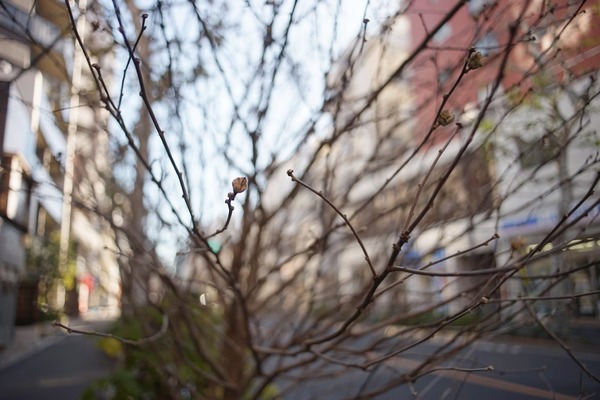 minolta_mc_rokkor_si_28mm_sony_a7
