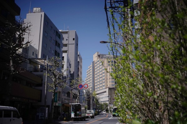 yashic_super_yashinon-r_35mm_m42_sony_a7