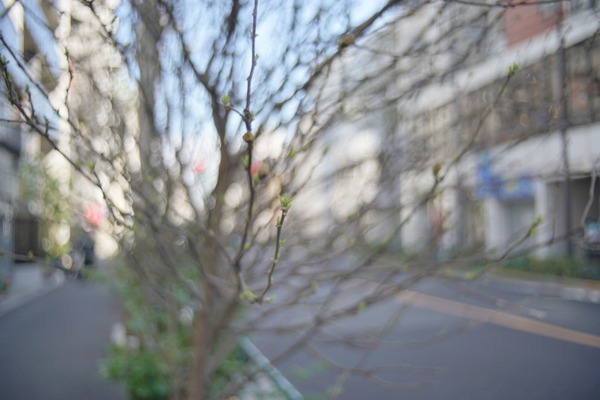 sankyo_w-komura-_35mm_m42_sony_a7r_ii