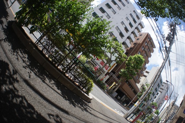 pentax_fish-eye-takumar_17mm_m42_sony_a7