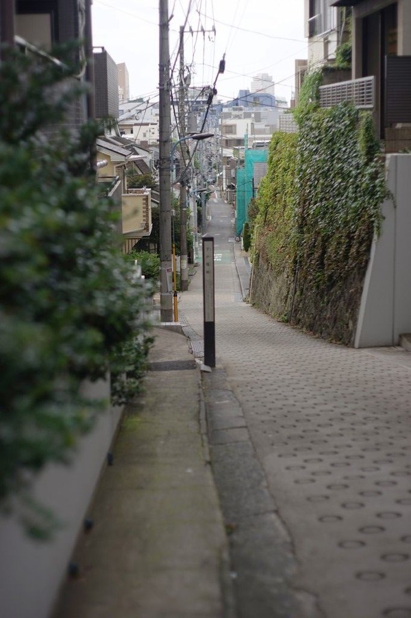 minolta_mc_rokkor-pf_58mm_sony_a7_02