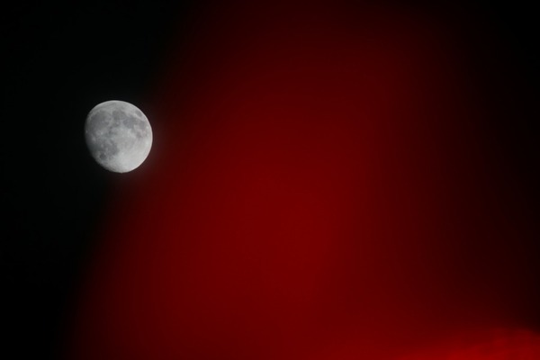 tamron_sp_500mm_55bb_sony_a7r_ii