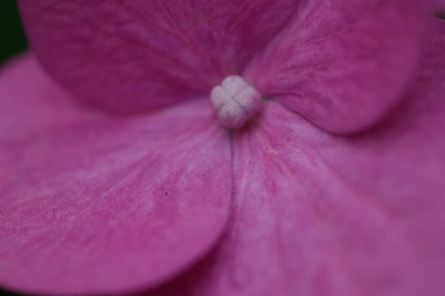 olympus_om_80mm_macro_tube_65-116-sony_a7_b