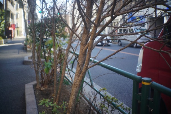 tanaka_tanar_35mm_l39_sony_a7r_ii