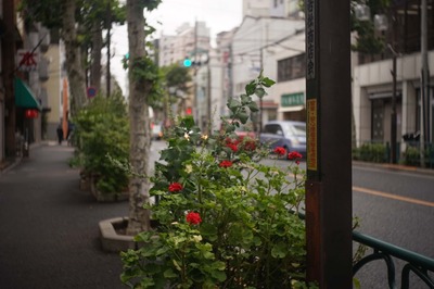 schneider_radionar_50mm_akarette_sony_a7