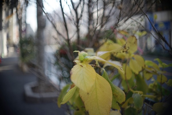 olympus_pen-ft_h_zuiko_42mm_sony_a7