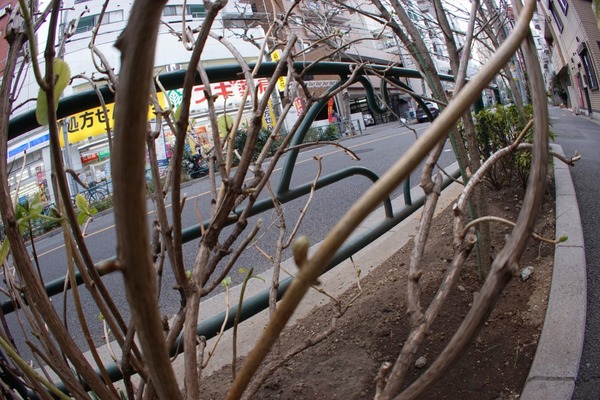 minolta_uw_rokkor-pg_18mm_sony_a7