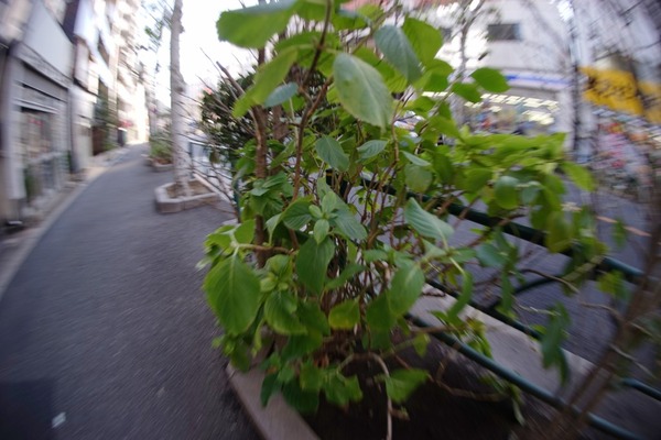 pentax_smc-f_17-28mm_fish-eye_sony_a7_1