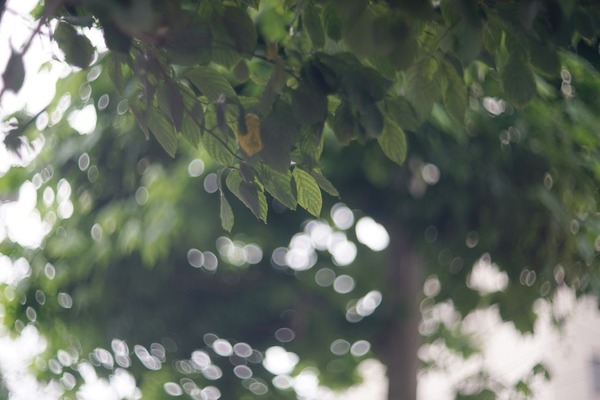 helios-40_85mm_m42_sony_a7